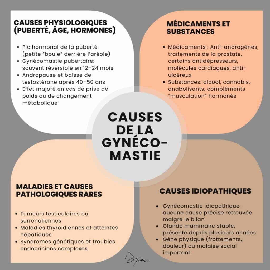 Causes de la gynécomastie
