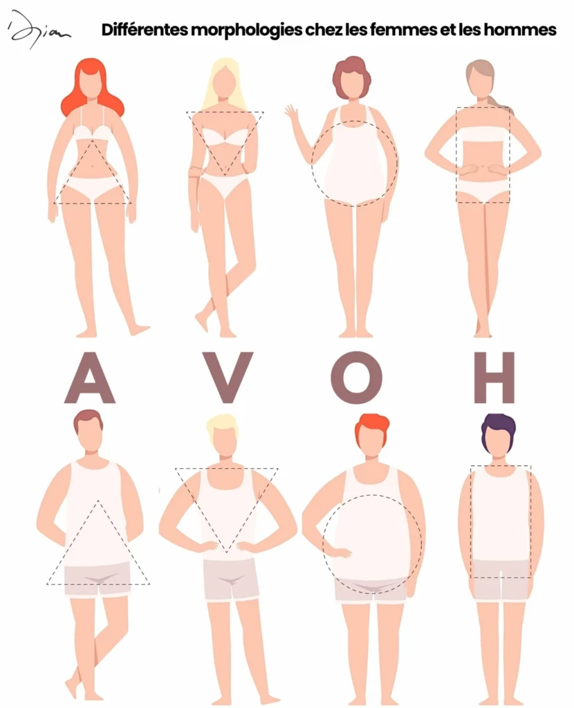 4 Morphologies chez les Femmes et les Hommes