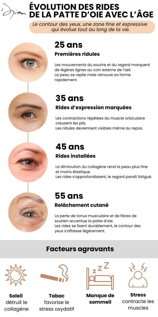 Frise chronologique illustrant l’évolution des rides de la patte d’oie avec l’âge : premières ridules à 25 ans, rides marquées à 35 ans, rides installées à 45 ans, relâchement cutané à 55 ans, aggravés par le soleil, le tabac, le stress et le manque de sommeil.