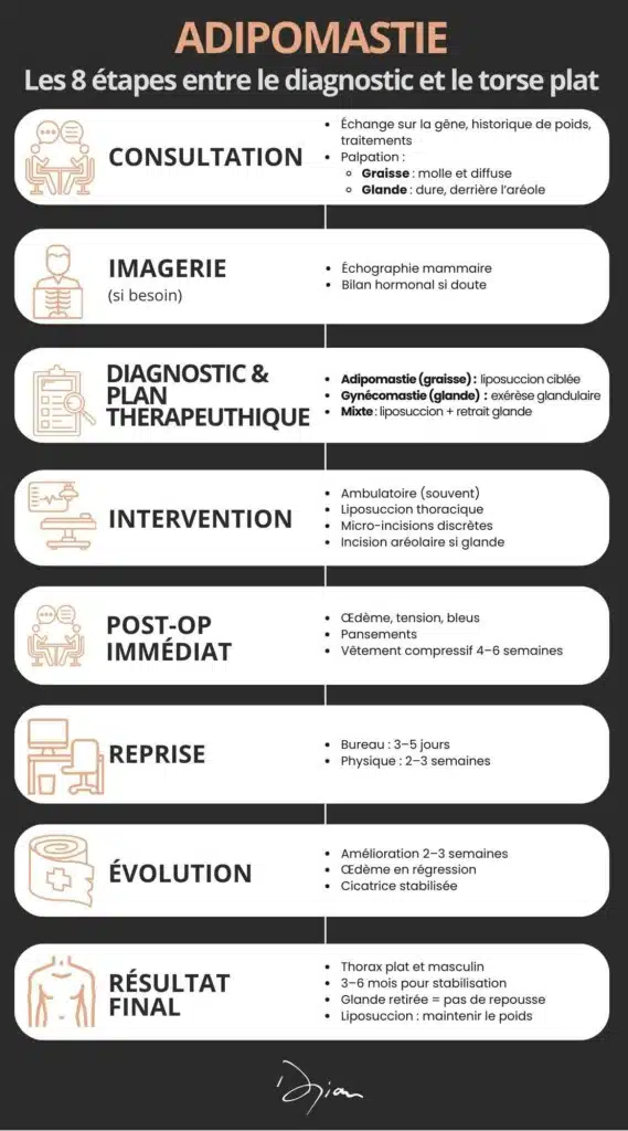 Adipomastie, de la consultation au résultat final