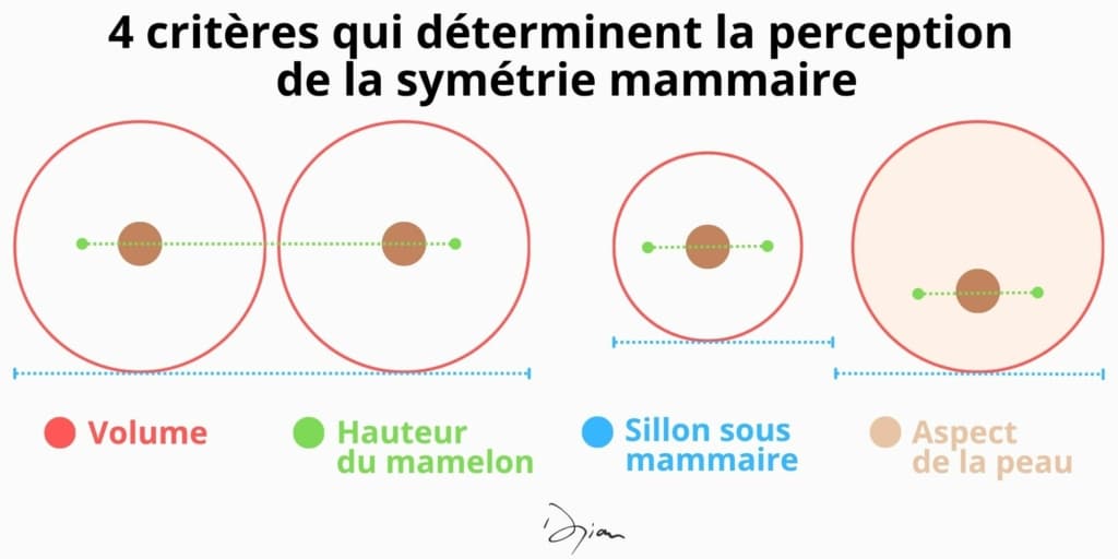 4 crit&egrave;res qui d&eacute;terminent la perception de sym&eacute;trie